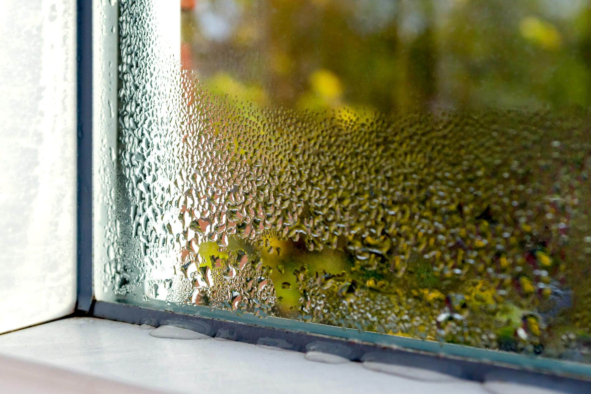 window-condensation-glass