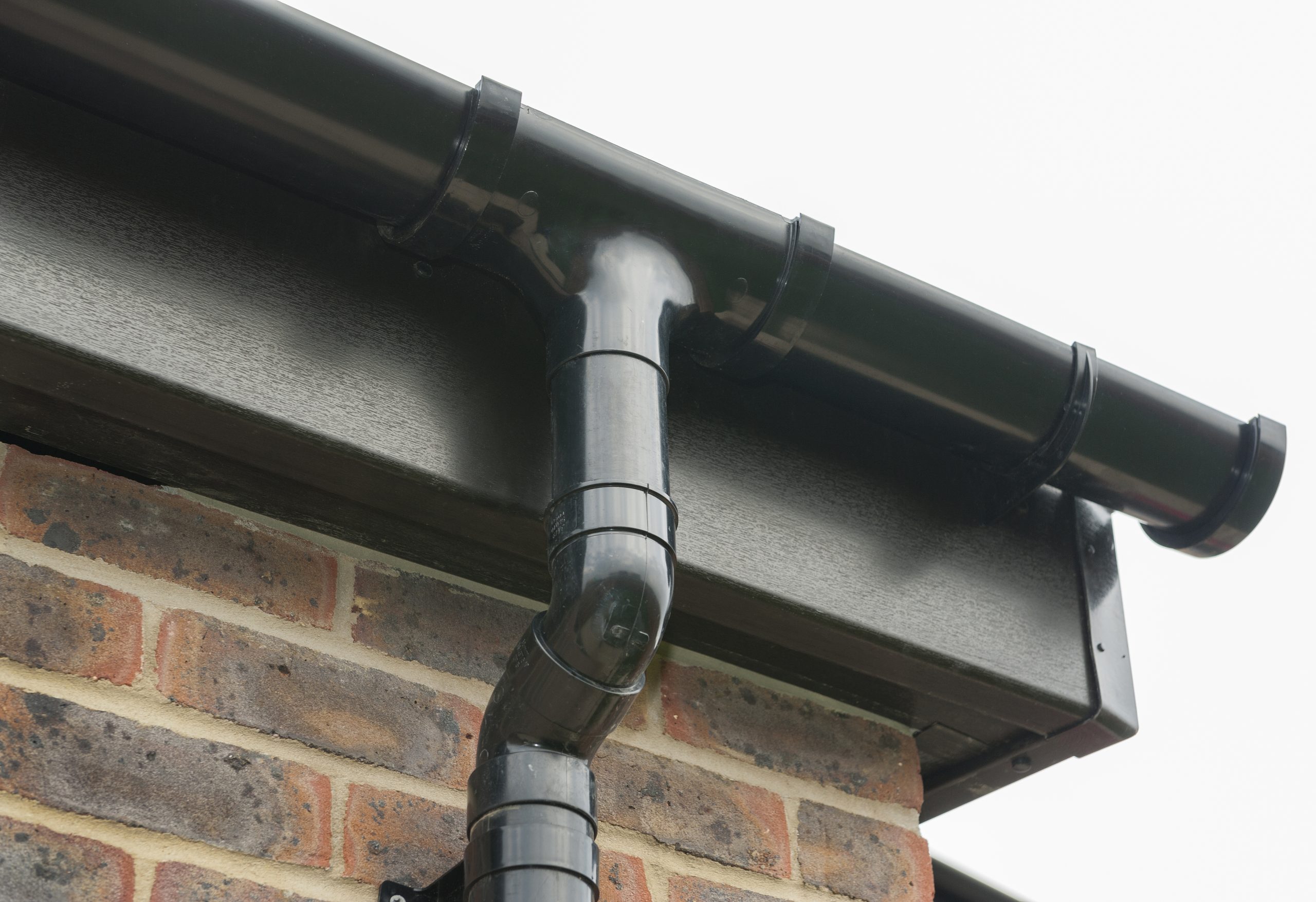 black ash rainwater